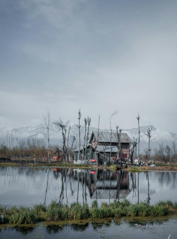 Kashmir